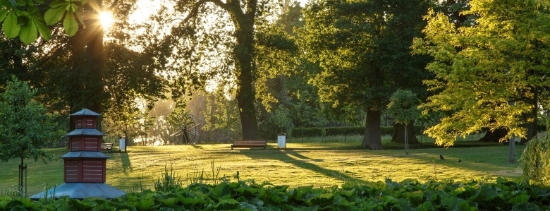 Picknickconcert op Vaderdag gaat niet door!